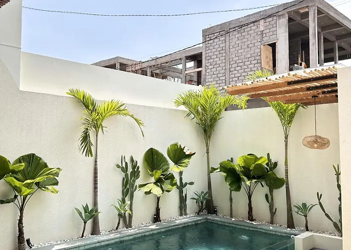 Swaha At 2 فيلة تْشانغو
